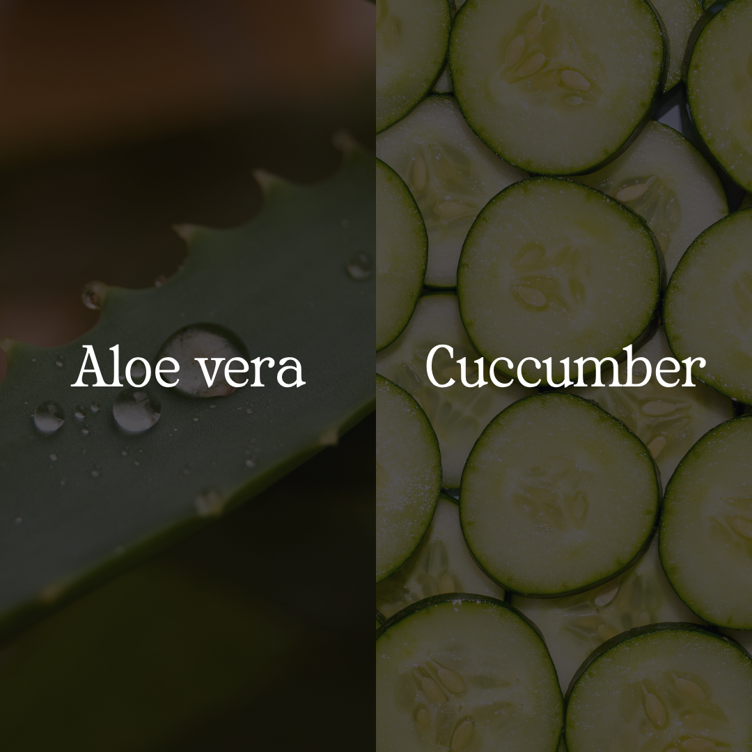 Aloevera Hydrating Shampoo - Image 3